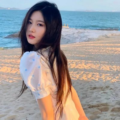 夏绿蒂的网封面